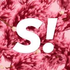 Super.ru