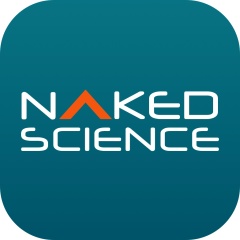 Naked Science – новости науки