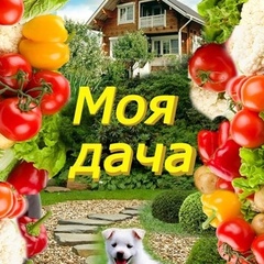 Моя дача