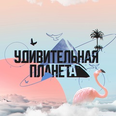 Удивительная планета