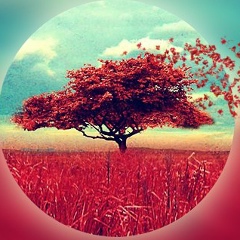 Свободная Жизнь | Эзотерика - Саморазвитие