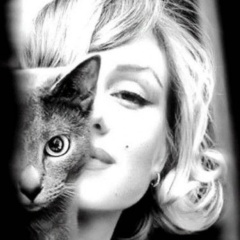 Истории нашей жизни!