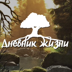 Дневник жизни...