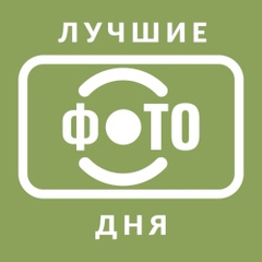 Прикол дня