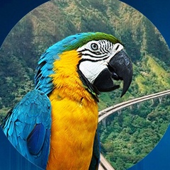 Доложить обстановку!