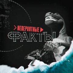 Невероятные факты