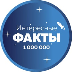 Интересные факты