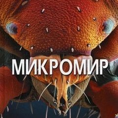 Микромир