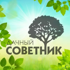 Дачный советник