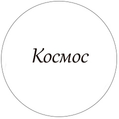 Космос