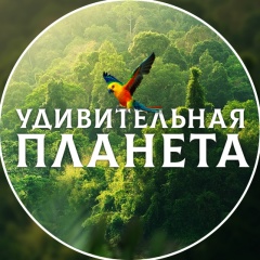 Удивительная планета